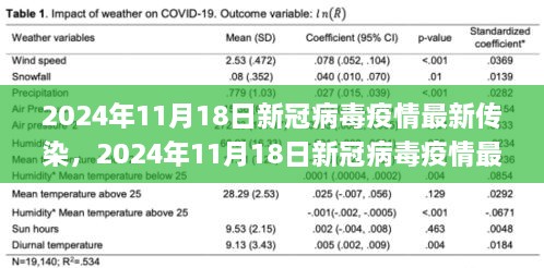 2024年11月新冠病毒疫情最新动态与应对策略，传染情况及防控措施