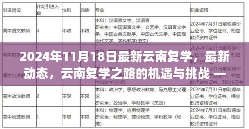 云南复学之路的最新动态与机遇挑战，2024年视角