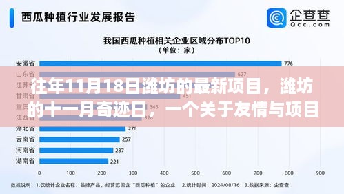 潍坊十一月奇迹日，友情与项目的温馨故事