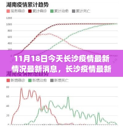 长沙疫情最新动态，11月18日防控进展及概况更新