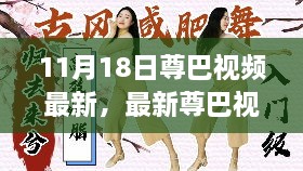 11月18日最新尊巴舞蹈教程，一步步学会专享版尊巴