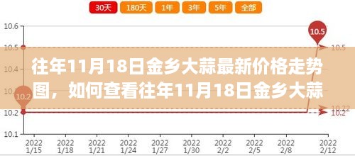 往年11月18日金乡大蒜价格走势图详解，查看指南及最新价格动态分析