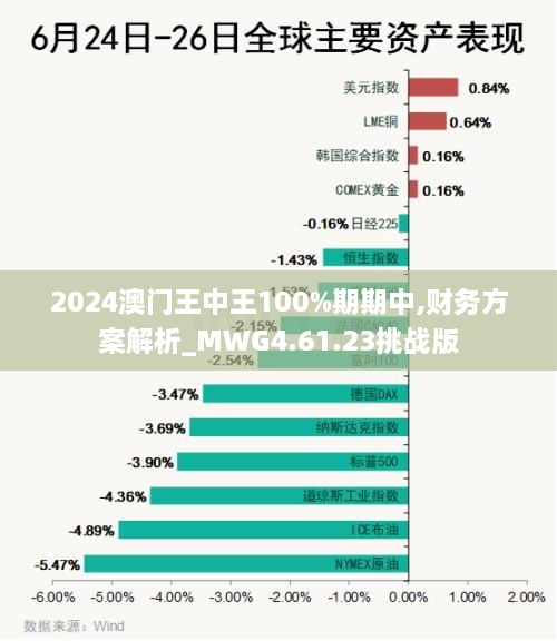 2024澳门王中王100%期期中,财务方案解析_MWG4.61.23挑战版