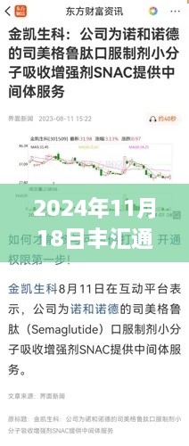 丰汇通最新动态揭秘，真相与影响探讨（2024年11月18日微博消息速递）