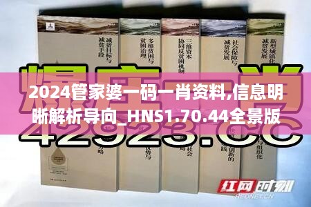 2024管家婆一码一肖资料,信息明晰解析导向_HNS1.70.44全景版