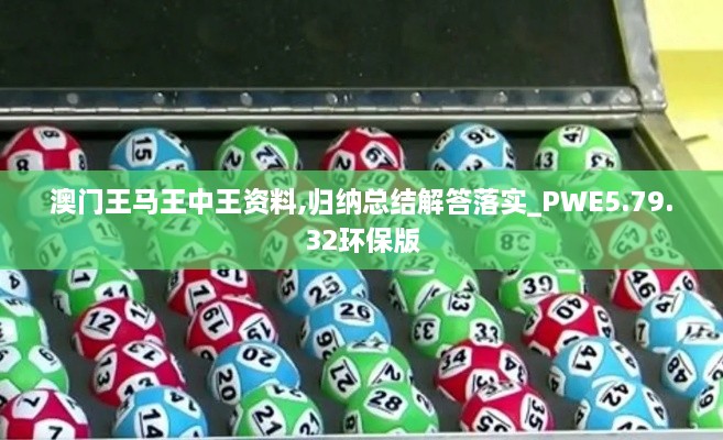 澳门王马王中王资料,归纳总结解答落实_PWE5.79.32环保版