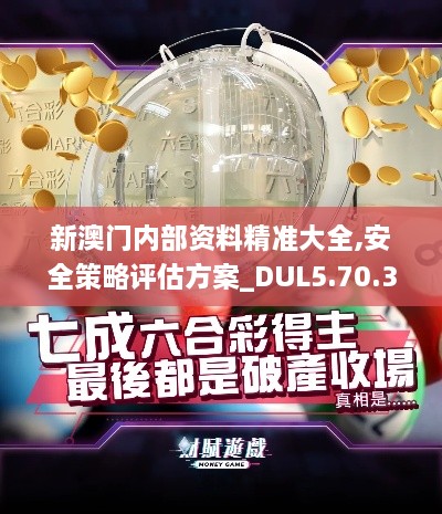 新澳门内部资料精准大全,安全策略评估方案_DUL5.70.36掌中宝