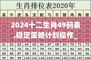 2024十二生肖49码表,稳定策略计划操作_SRH5.32.80VR版