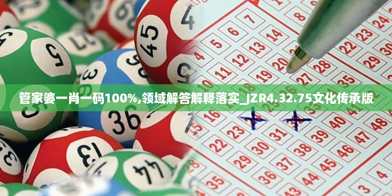 管家婆一肖一码100%,领域解答解释落实_JZR4.32.75文化传承版