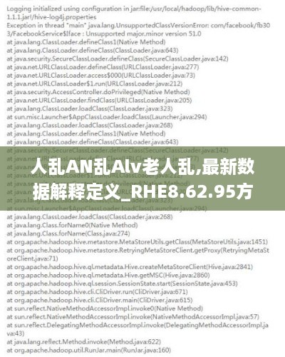 人乱AN乱Alv老人乱,最新数据解释定义_RHE8.62.95方便版