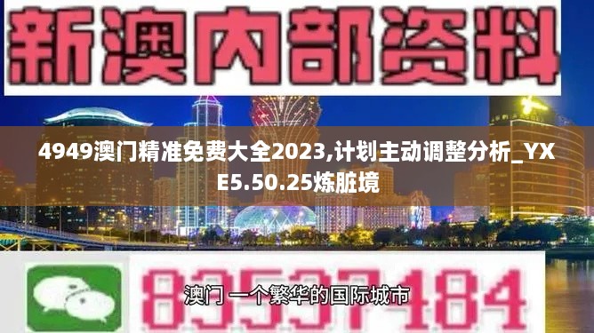 4949澳门精准免费大全2023,计划主动调整分析_YXE5.50.25炼脏境