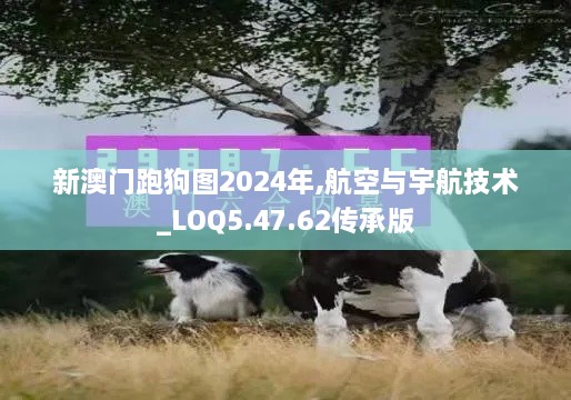 新澳门跑狗图2024年,航空与宇航技术_LOQ5.47.62传承版