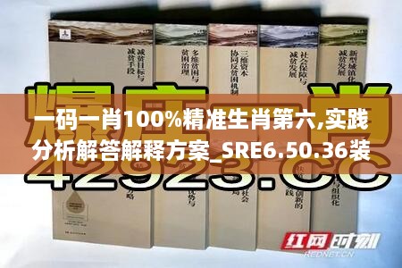 一码一肖100%精准生肖第六,实践分析解答解释方案_SRE6.50.36装饰版