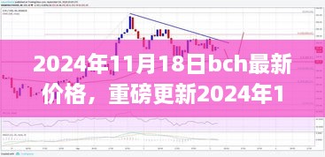 重磅揭秘，2024年11月18日BCH最新价格及市场走势分析