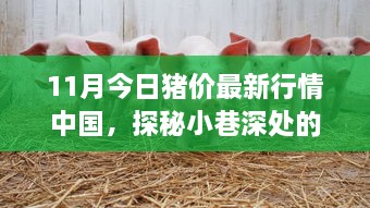 探秘小巷深处的猪肉香，中国最新猪价行情揭秘与特色小店奇遇