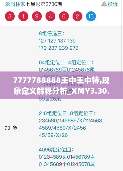 7777788888王中王中特,现象定义解释分析_XMY3.30.67目击版