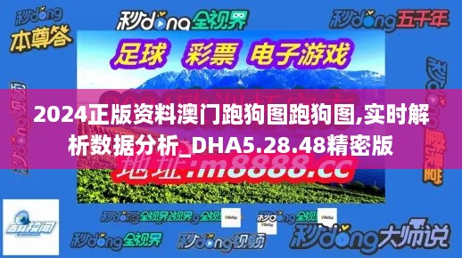 2024正版资料澳门跑狗图跑狗图,实时解析数据分析_DHA5.28.48精密版