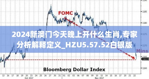 2024新澳门今天晚上开什么生肖,专家分析解释定义_HZU5.57.52白银版