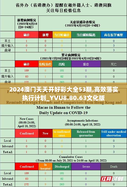 2024澳门天天开好彩大全53期,高效落实执行计划_YVU8.80.63文化版