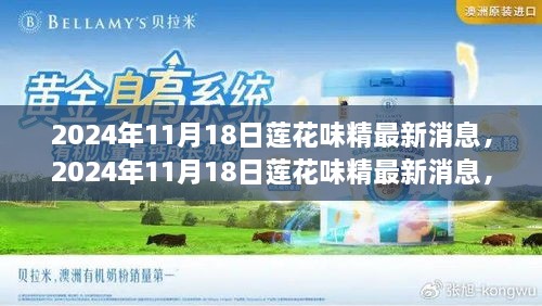 2024年11月18日莲花味精最新消息，行业变革与未来展望