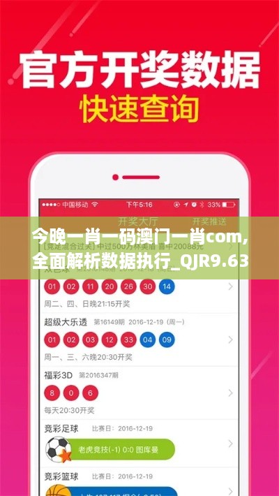 今晚一肖一码澳门一肖com,全面解析数据执行_QJR9.63.30豪华款