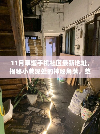 探索隐藏版特色小店，草馏手机社区最新地址揭秘与小巷深处的神秘角落