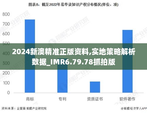 2024新澳精准正版资料,实地策略解析数据_IMR6.79.78抓拍版