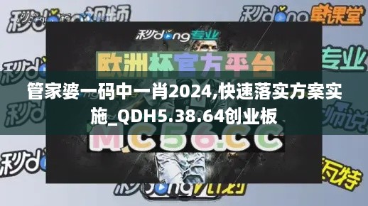 管家婆一码中一肖2024,快速落实方案实施_QDH5.38.64创业板