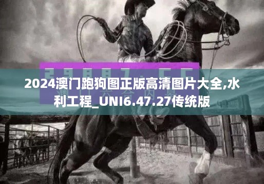 2024澳门跑狗图正版高清图片大全,水利工程_UNI6.47.27传统版