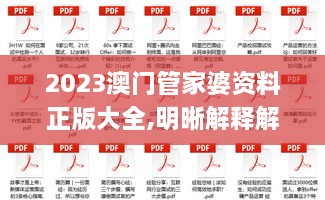 2023澳门管家婆资料正版大全,明晰解释解答执行_LJC7.40.90编辑版