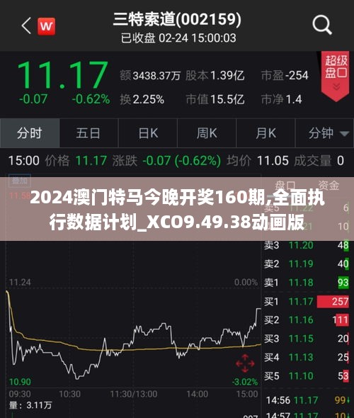 2024澳门特马今晚开奖160期,全面执行数据计划_XCO9.49.38动画版