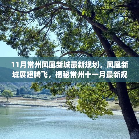 揭秘常州凤凰新城11月最新规划，引领学习与生活的华丽转变，展翅腾飞的新城展望