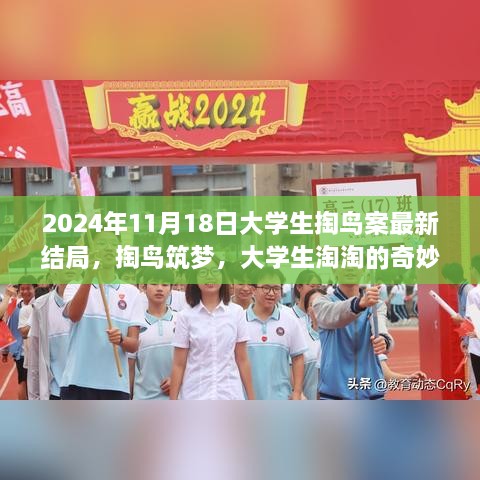 掏鸟筑梦，大学生淘淘的冒险与友情故事最新结局揭晓，时间背景2024年11月18日