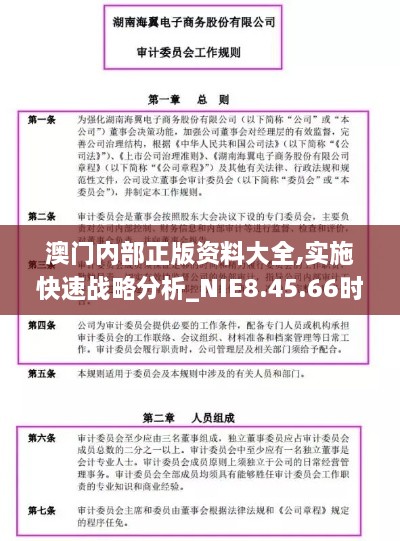 澳门内部正版资料大全,实施快速战略分析_NIE8.45.66时刻版