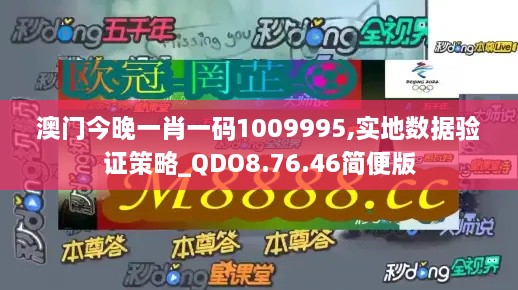 澳门今晚一肖一码1009995,实地数据验证策略_QDO8.76.46简便版