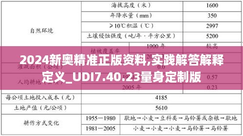 2024新奥精准正版资料,实践解答解释定义_UDI7.40.23量身定制版