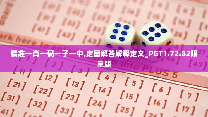 精准一肖一码一子一中,定量解答解释定义_PGT1.72.82限量版