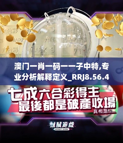 澳门一肖一码一一子中特,专业分析解释定义_RRJ8.56.47专用版