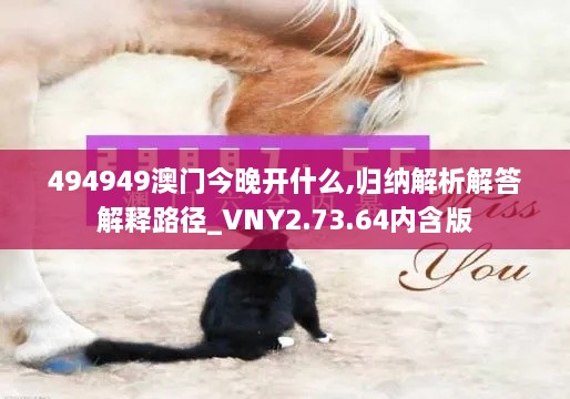 494949澳门今晚开什么,归纳解析解答解释路径_VNY2.73.64内含版