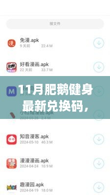 揭秘十一月肥鹅健身最新兑换码风云，历程、影响与时代地位