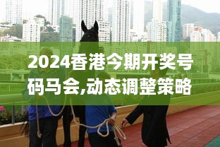 2024香港今期开奖号码马会,动态调整策略执行_JRQ7.10.44远程版