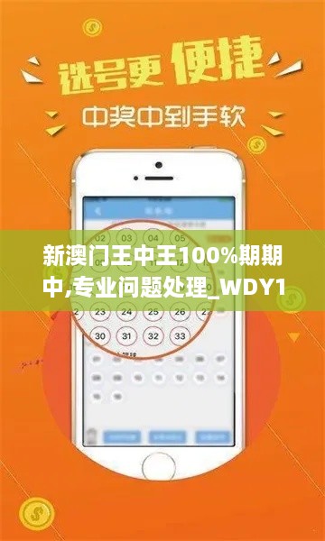 新澳门王中王100%期期中,专业问题处理_WDY1.13.38专属版