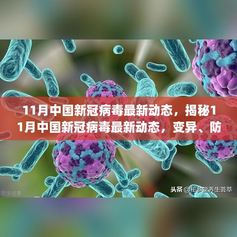 11月中国新冠病毒最新动态，揭秘11月中国新冠病毒最新动态，变异、防控与疫苗进展