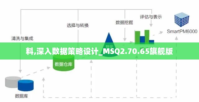 料,深入数据策略设计_MSQ2.70.65旗舰版