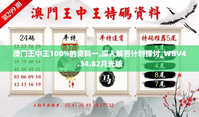 澳门王中王100%的资料一,深入解答计划探讨_WBV4.34.82月光版