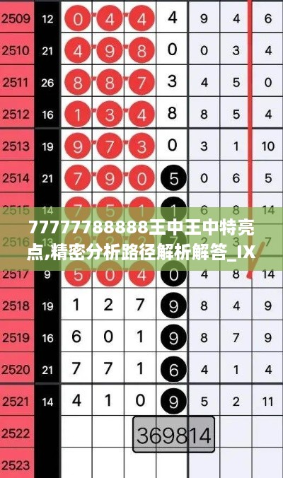 77777788888王中王中特亮点,精密分析路径解析解答_IXW2.54.53官方版