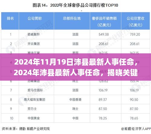 揭秘2024年沛县人事大调整，关键岗位领导层重磅变动