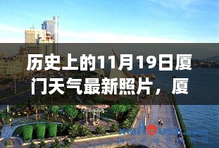 厦门时光，历史天气下的友情温馨故事——11月19日天气纪实