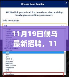 11月19日候马最新招聘现象深度解析，利弊与个人观点探讨