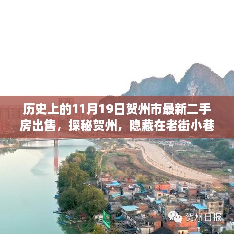 历史上的11月19日贺州市最新二手房出售，探秘贺州，隐藏在老街小巷中的宝藏二手房与特色小店